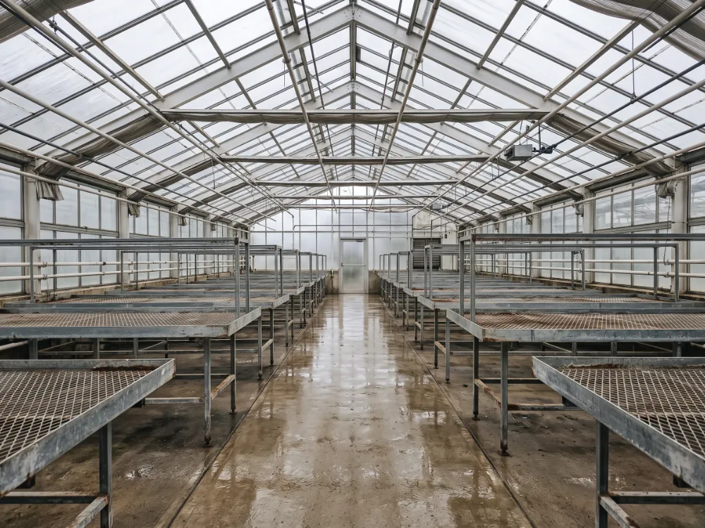 Empty greenhouse bay with a fresh coated floor drying between planting cycles