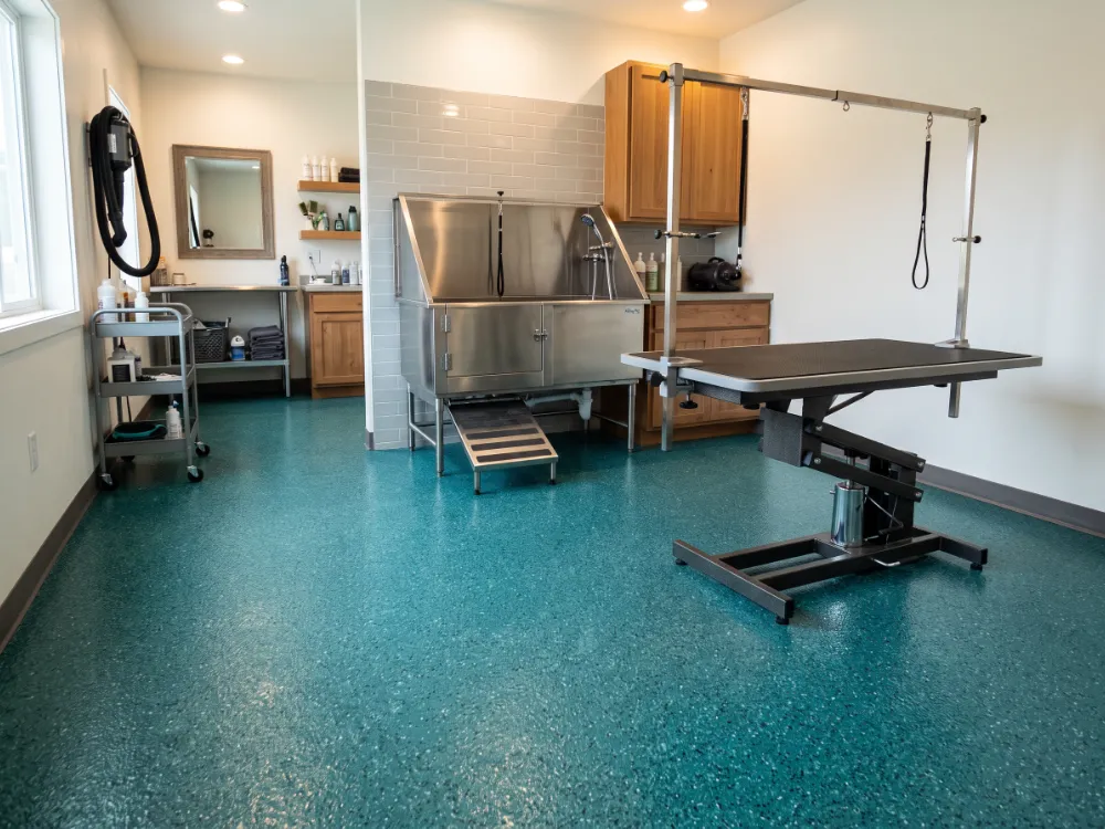 Pet grooming room with a textured teal epoxy floor and tub