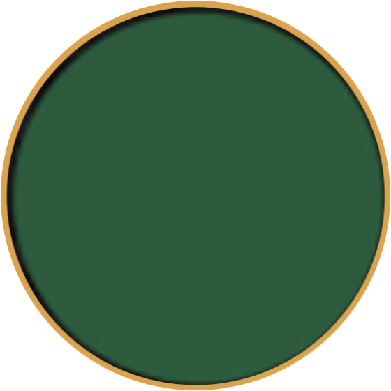 Solid colour epoxy garage floor Lawn Green - Top Epoxy Flooring