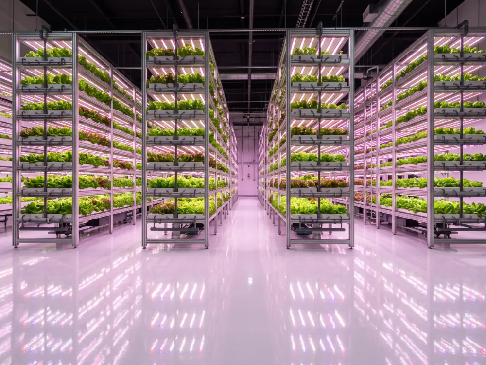 Indoor vertical farm with stacked grow racks above a white epoxy floor