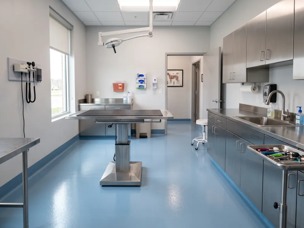 Veterinary exam room with a seamless pale blue coved epoxy floor